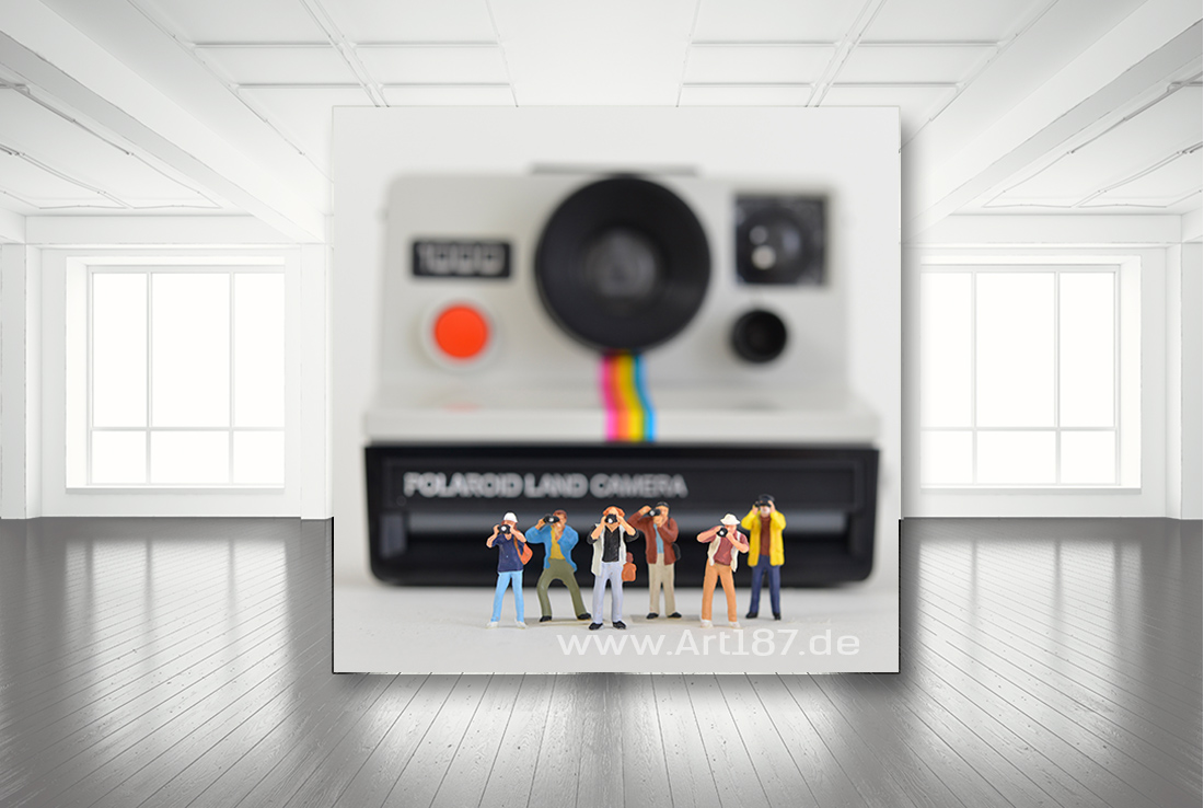 Polaroid-1